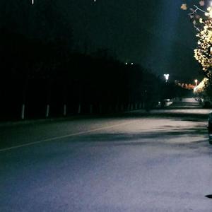 手伸进女朋友内裤里视频网站
